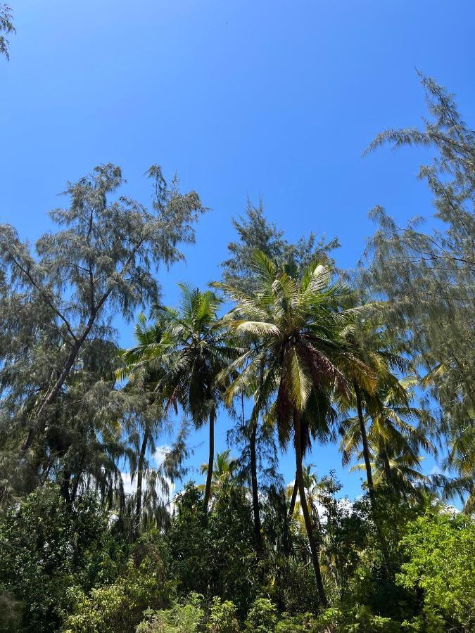 Kivuli Beach Resort Paje Kültér fotó
