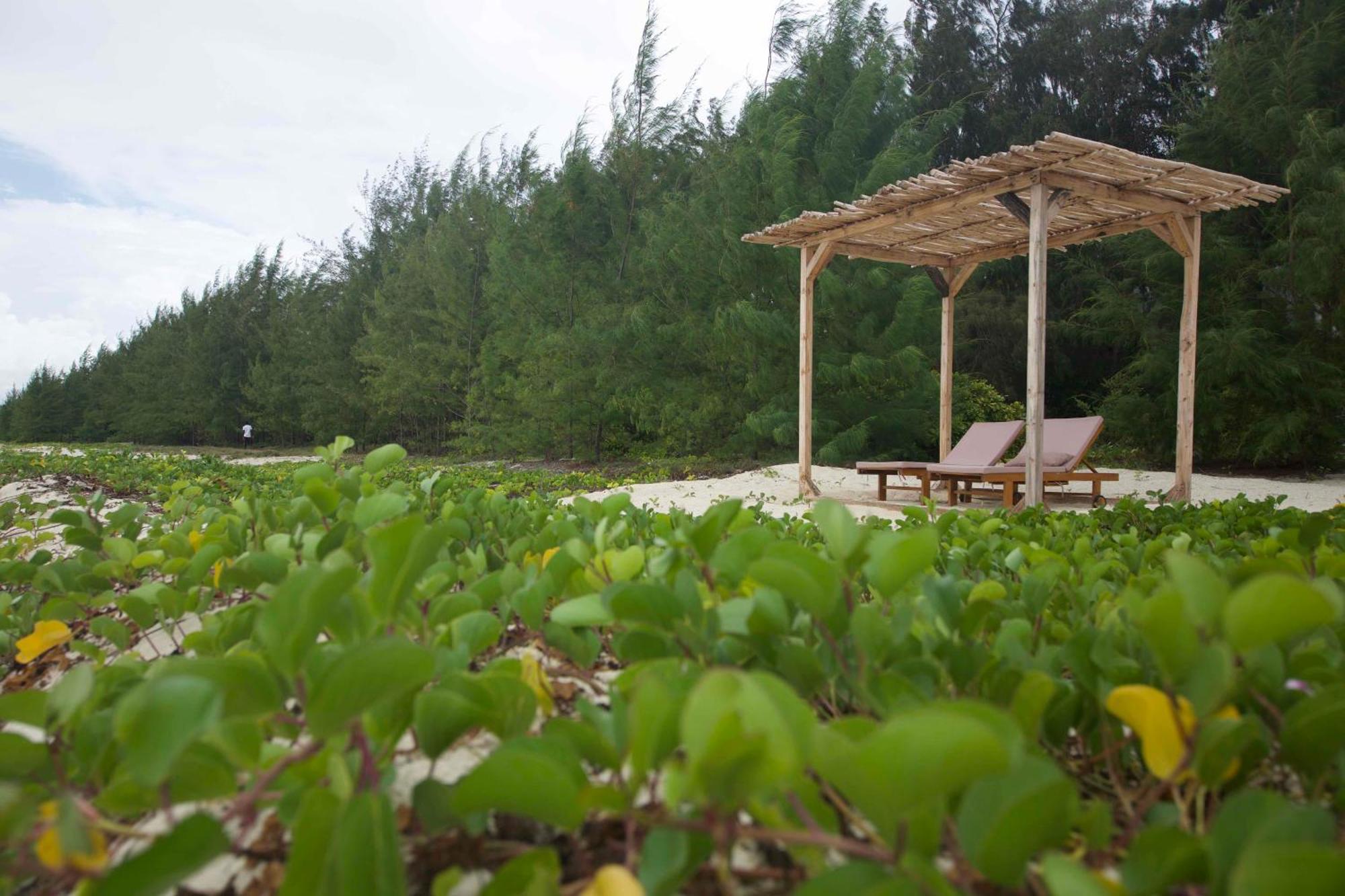 Kivuli Beach Resort Paje Kültér fotó